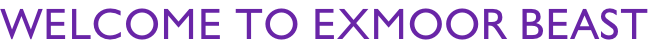 Welcome to Exmoor Beast